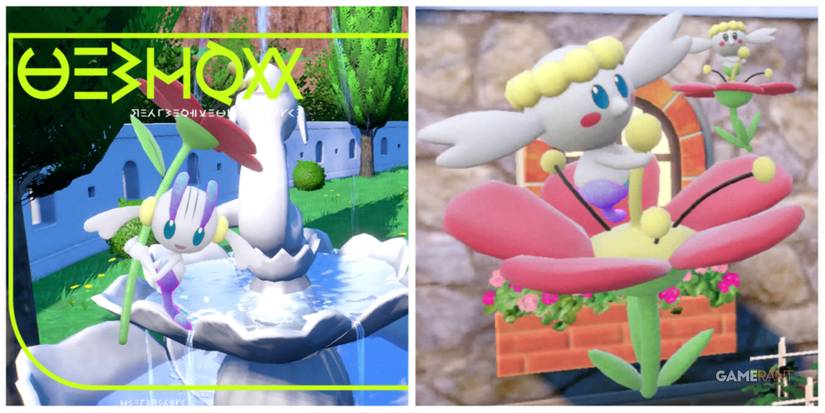 pokemon scarlet violet flabebe floette shiny