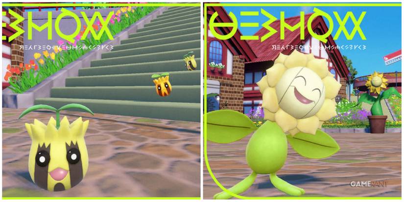 pokemon scarlet violet sunkern sunflower shiny