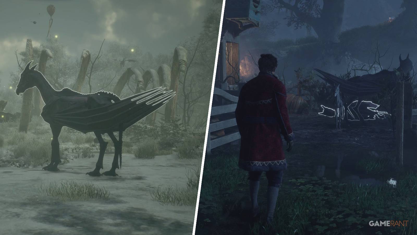 Hogwarts Legacy: How to Complete Foal of the Dead (Side Quest Guide)