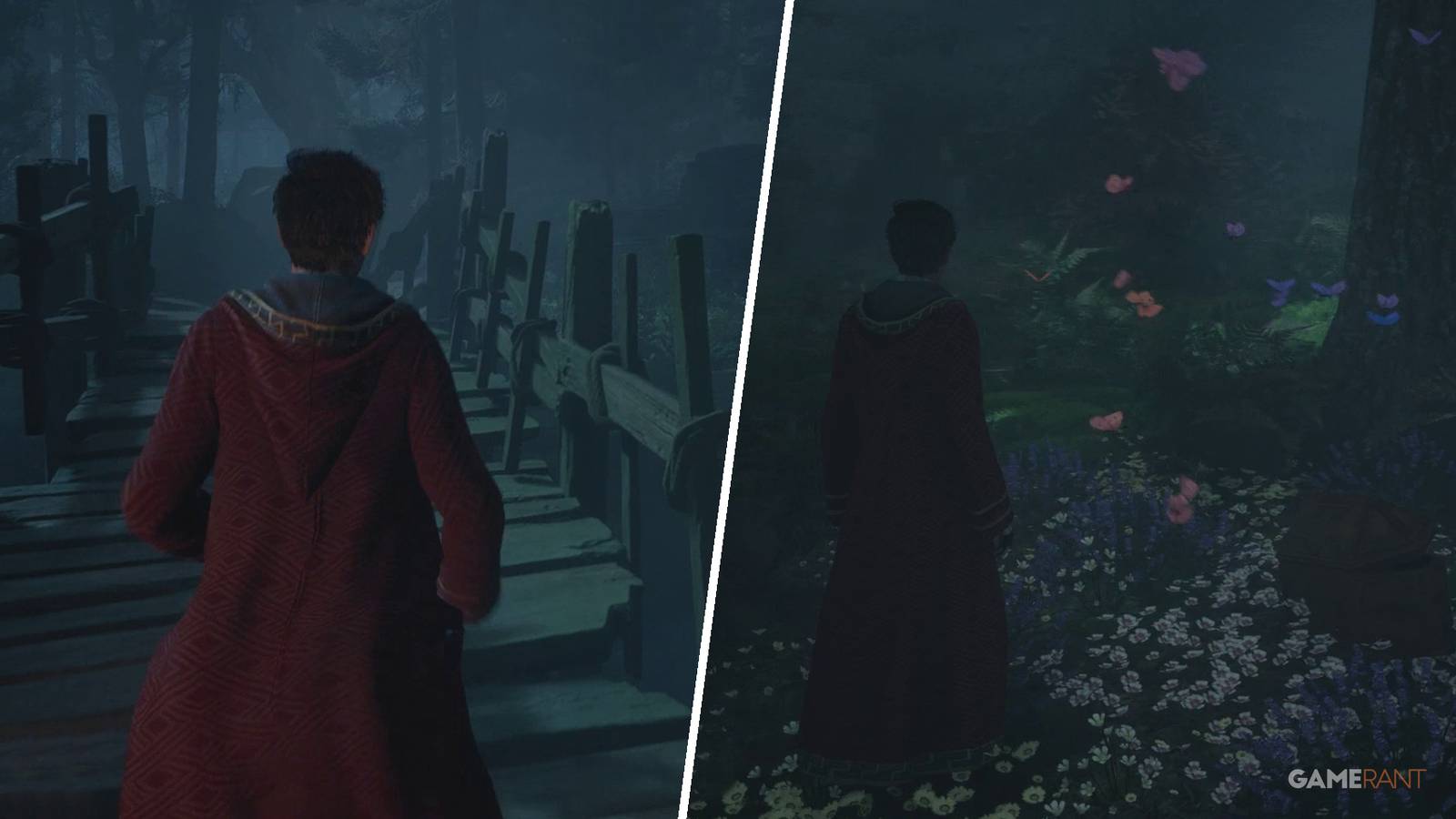 Hogwarts Legacy: How to Complete Follow the Butterflies (Side Quest Guide)