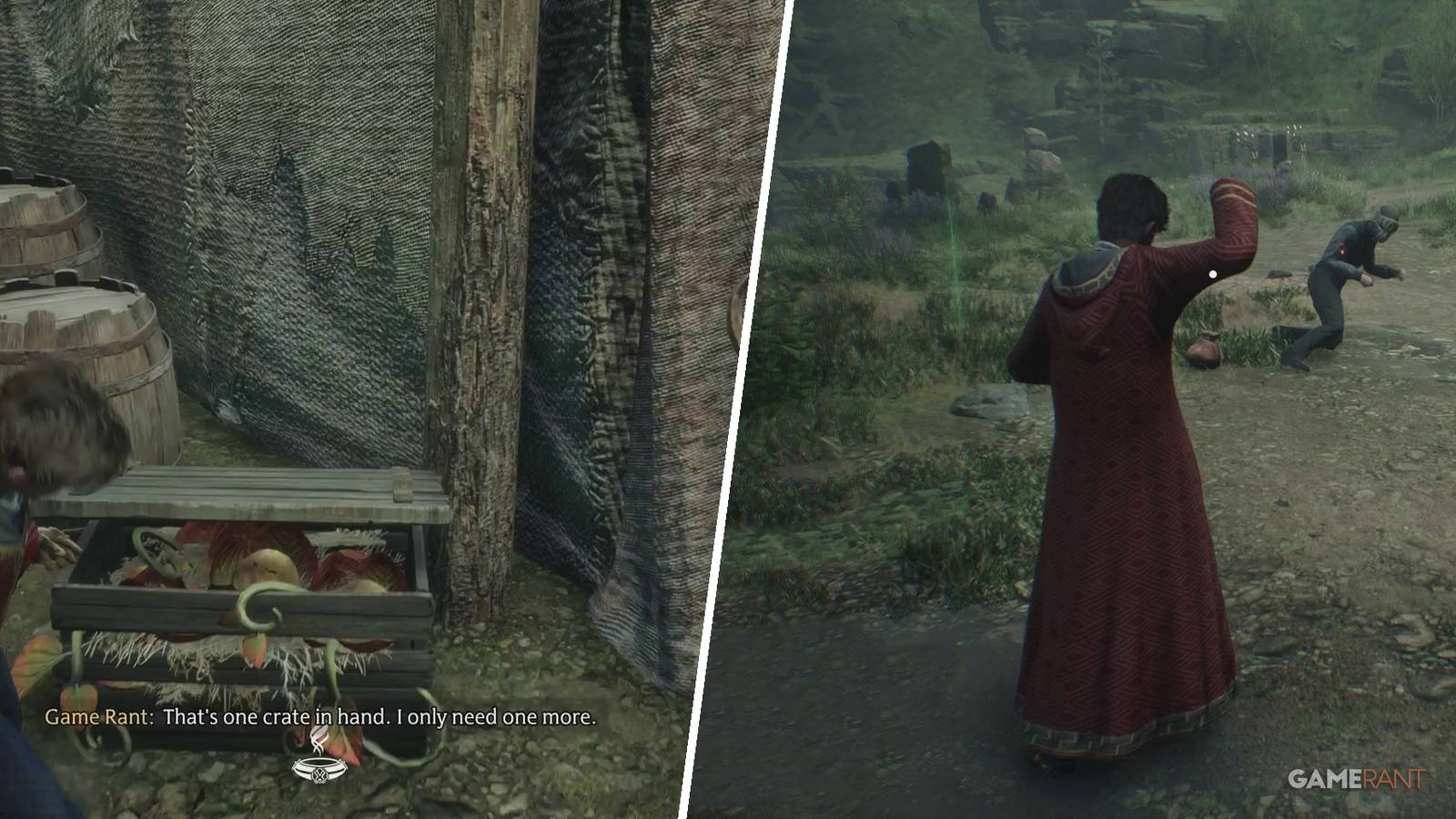 Hogwarts Legacy: How to Complete Kidnapped Cabbage (Side Quest Guide)