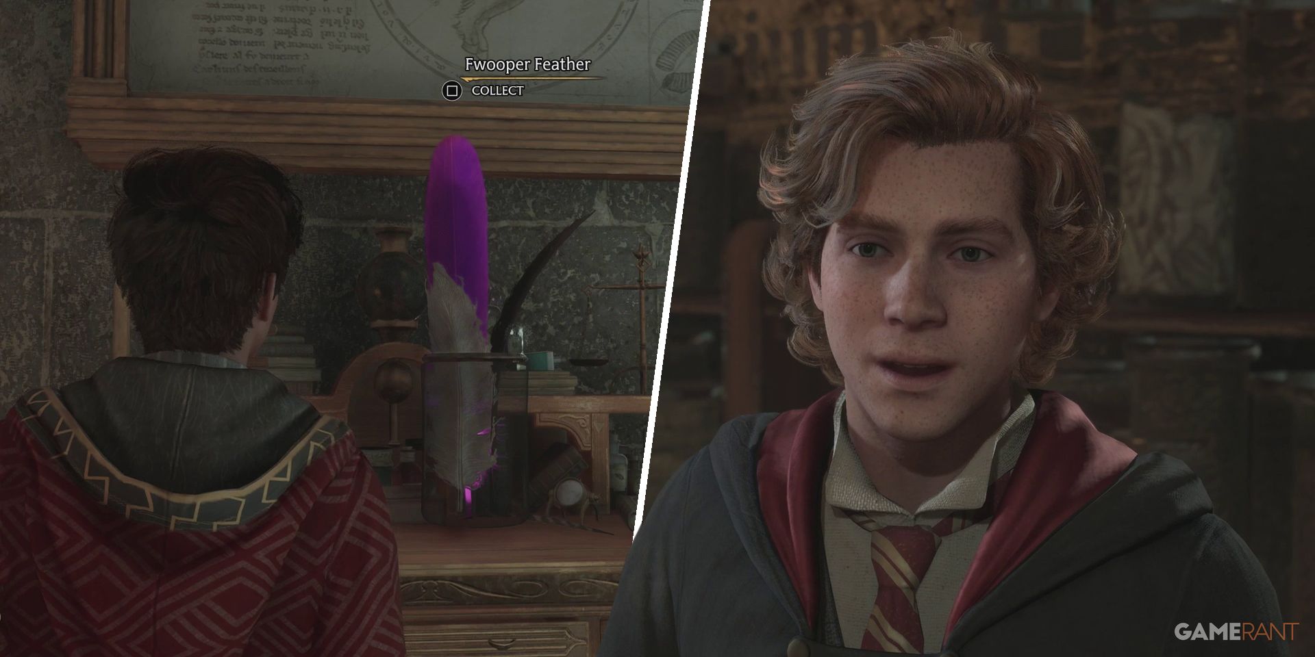 Hogwarts Legacy: Ought to You Get the Fwooper Feather for Garreth Weasley?