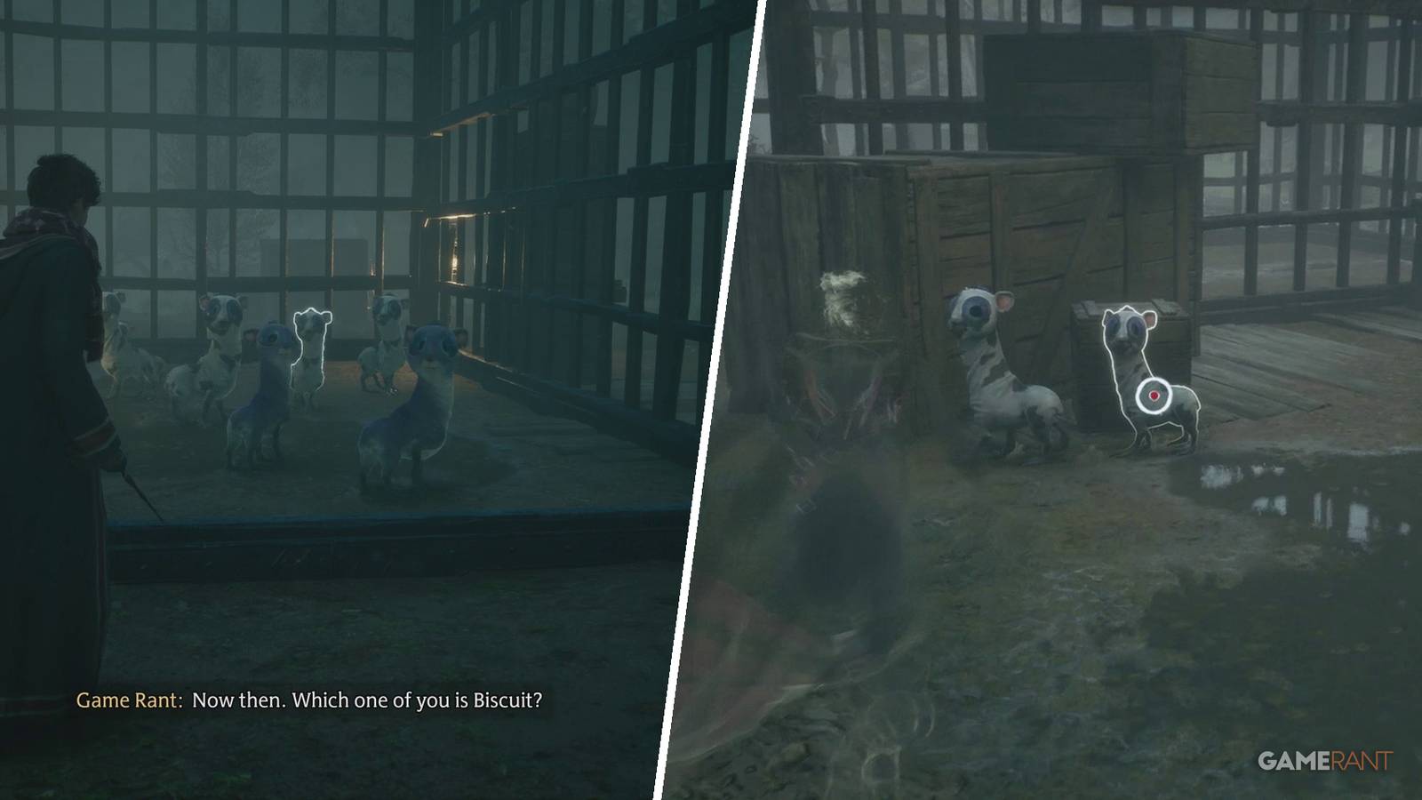 Hogwarts Legacy: How to Complete Take the Biscuit (Side Quest Guide)