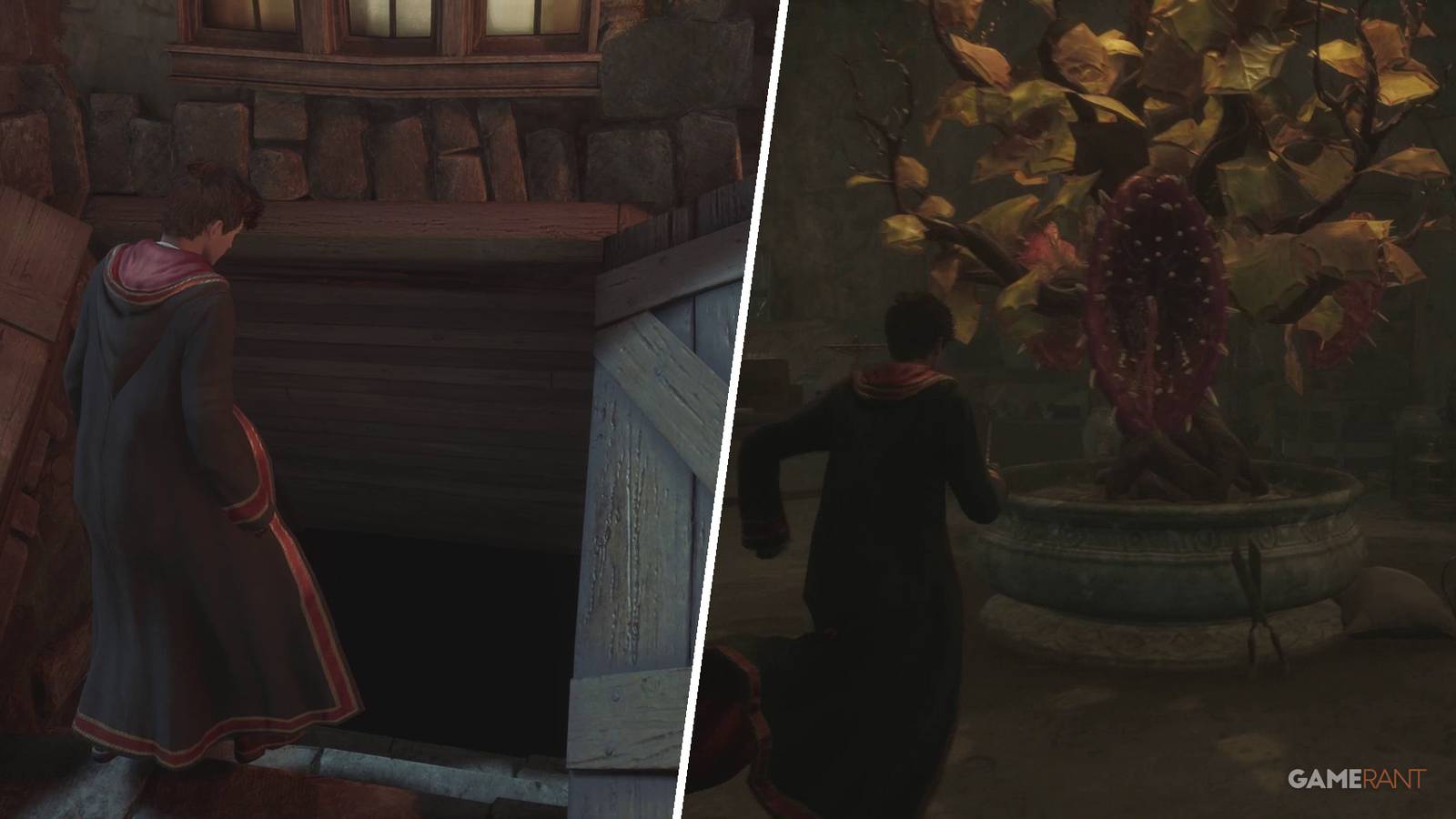 Hogwarts Legacy: How to Complete Venomous Revenge (Side Quest Guide)