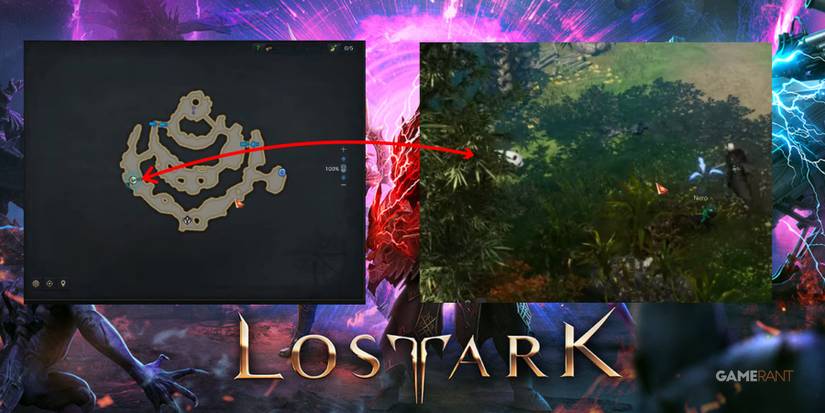 Lost Ark Behind Panda