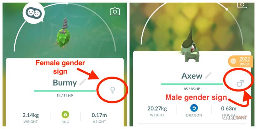 burmy axew gender pokemon go
