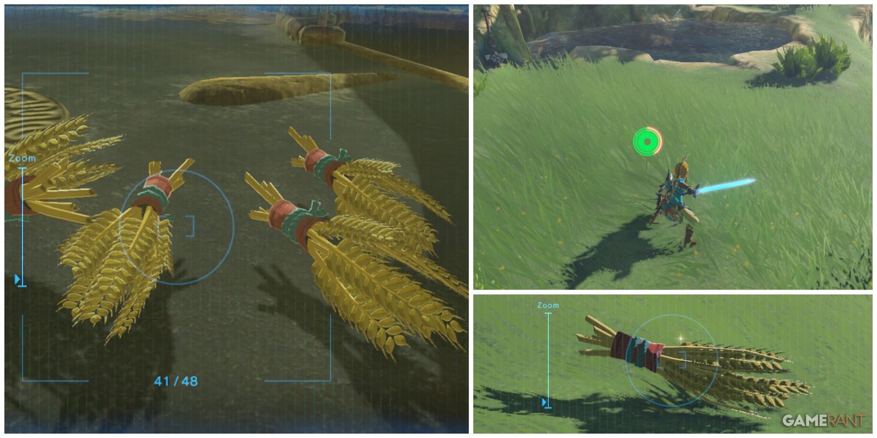 Breath of the Wild: Where to Farm Tabantha Wheat