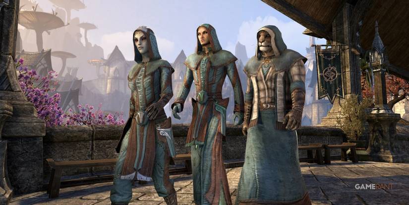3 Elder Scrolls Characters Talking a stroll