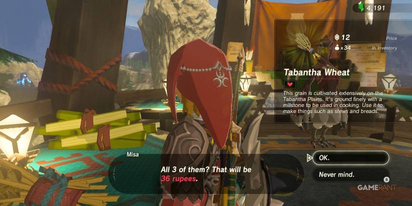 loz botw tabantha wheat rito village