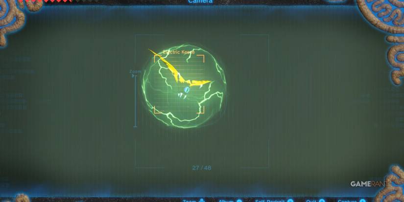 loz botw electric keese