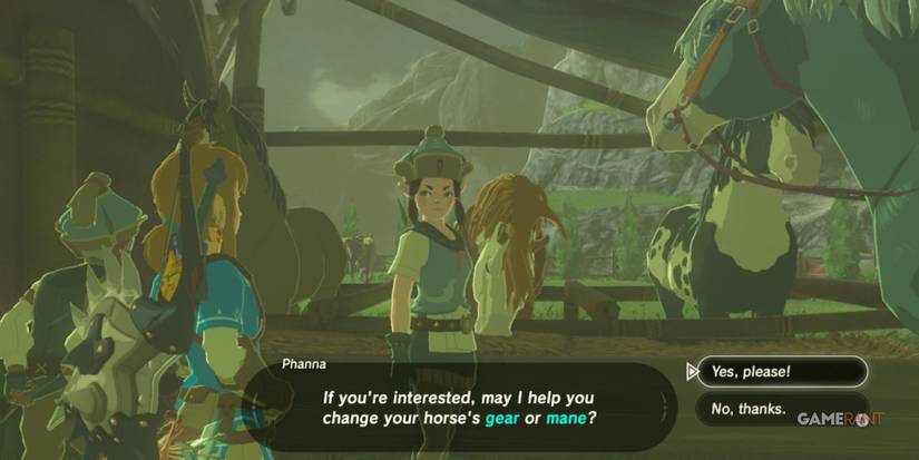 loz botw horse gear
