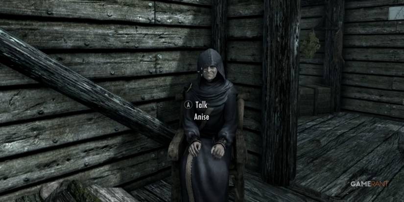 Skyrim Meeting Anise