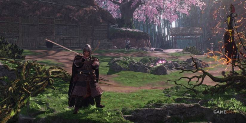 Wo Long Fallen Dynasty Holding A Sword By A Cliff