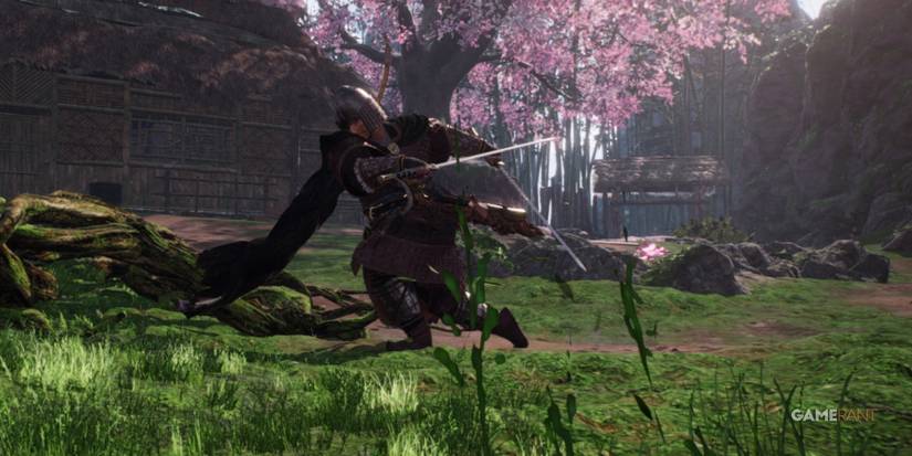 Wo Long Fallen Dynasty Swinging Dual Swords