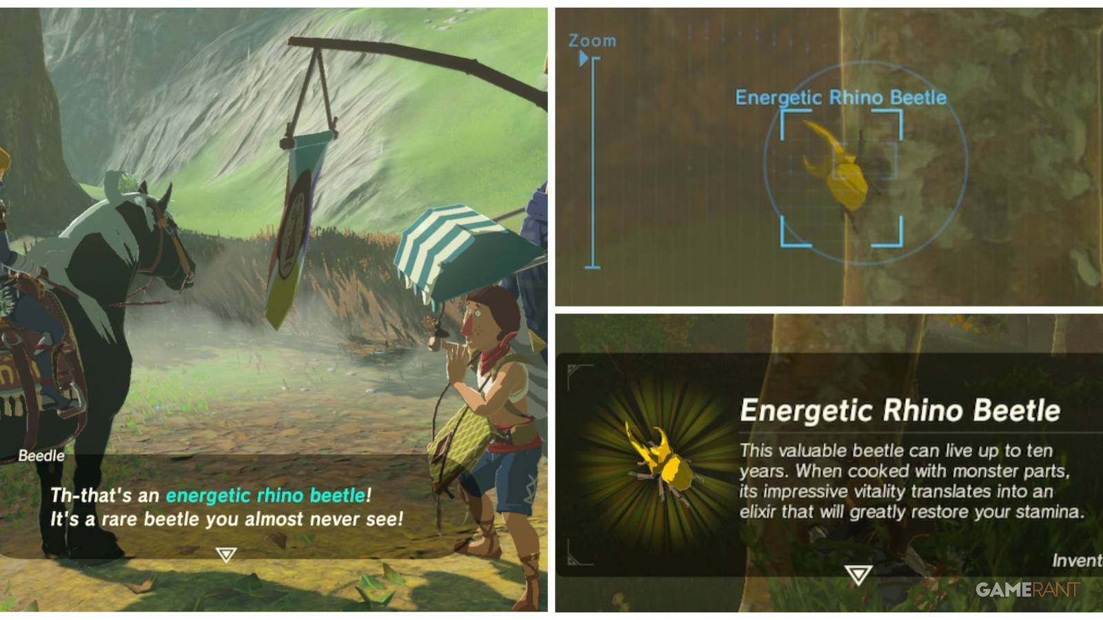 loz botw energetic rhino beetle feature