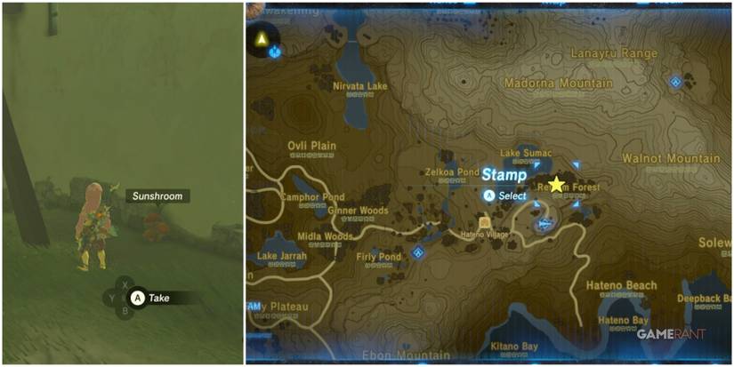 legend of zelda breath of the wild sunshroom location