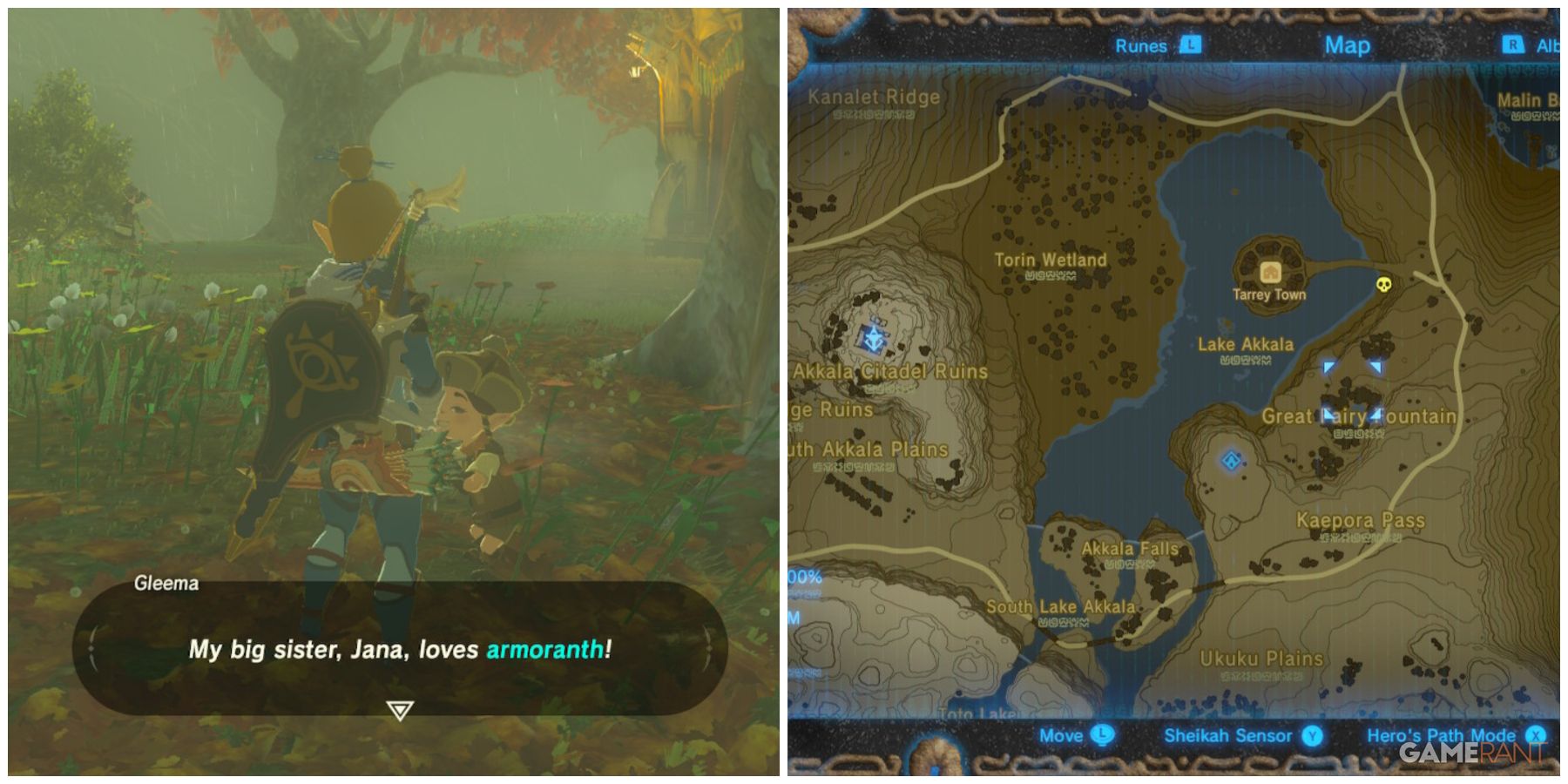 loz botw armoranth location