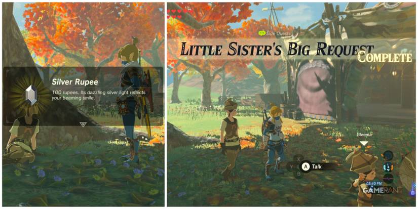 loz botw little sister's big request reward