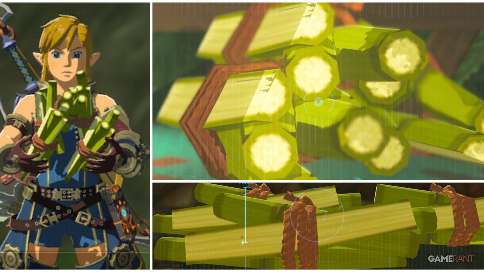 loz botw cane sugar feature