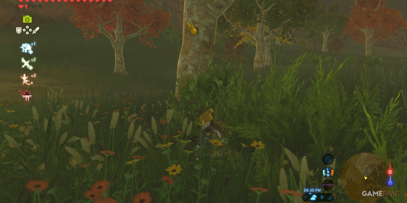 Breath of the Wild: Where to Farm Energetic Rhino Beetles