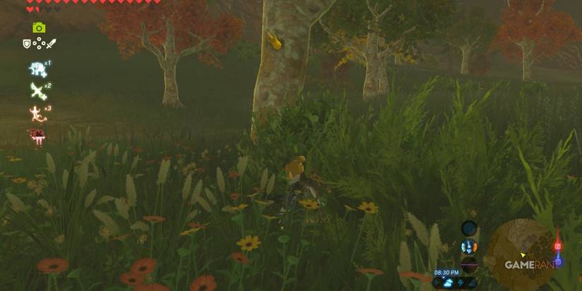 loz breath of the wild energetic rhino beetle