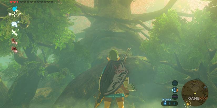 loz botw great deku tree