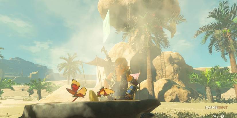 loz botw elixir cooking