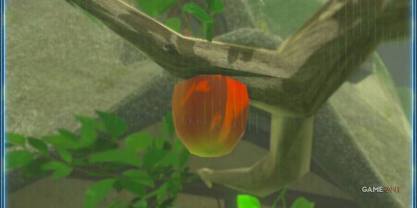 legend of zelda breath of the wild apple