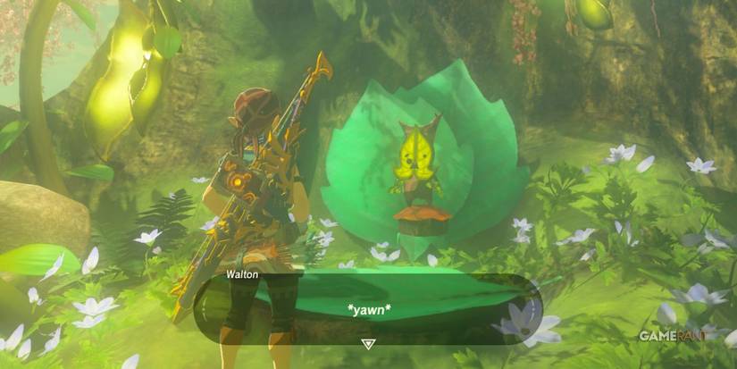 loz botw riddles of hyrule sidequest korok forest