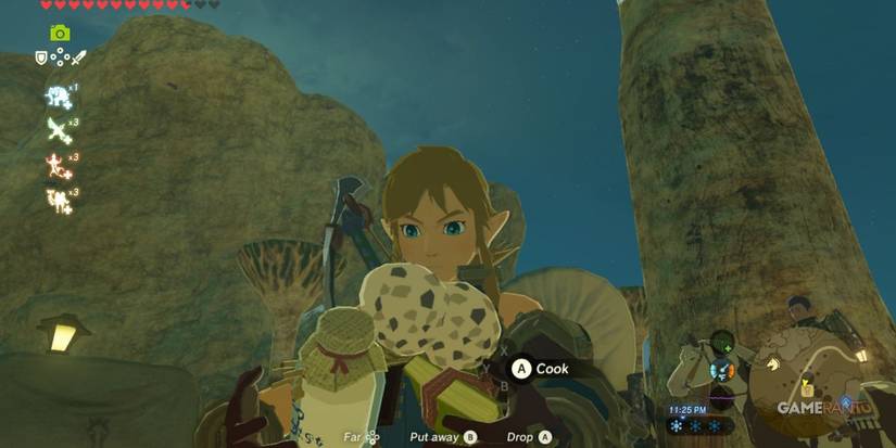 loz botw cooking