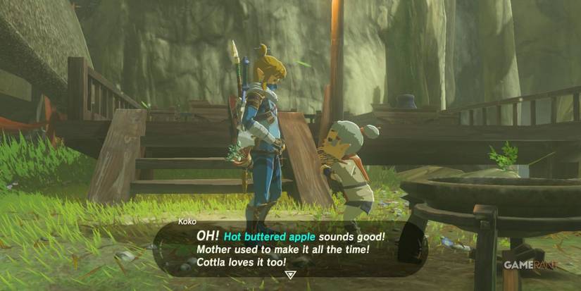 loz botw cooking with koko sidequest