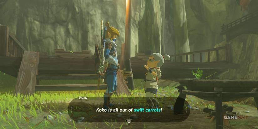 koko's kitchen sidequest botw loz