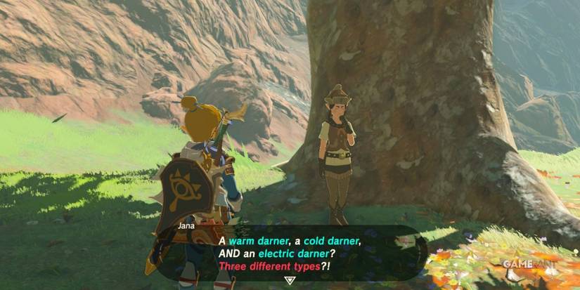 loz botw little sister's big request sidequest step 3