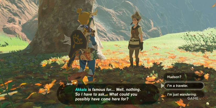 loz botw jana npc south akkala stable