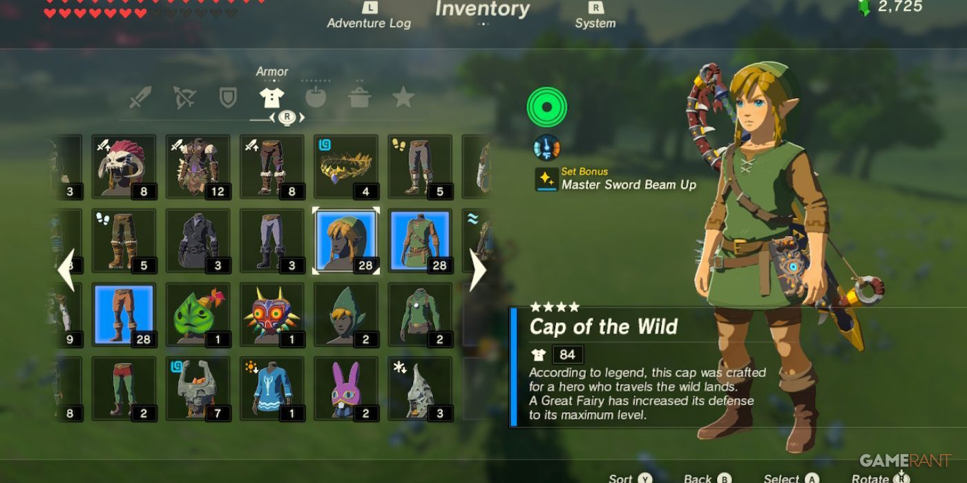 loz botw cap of the wild