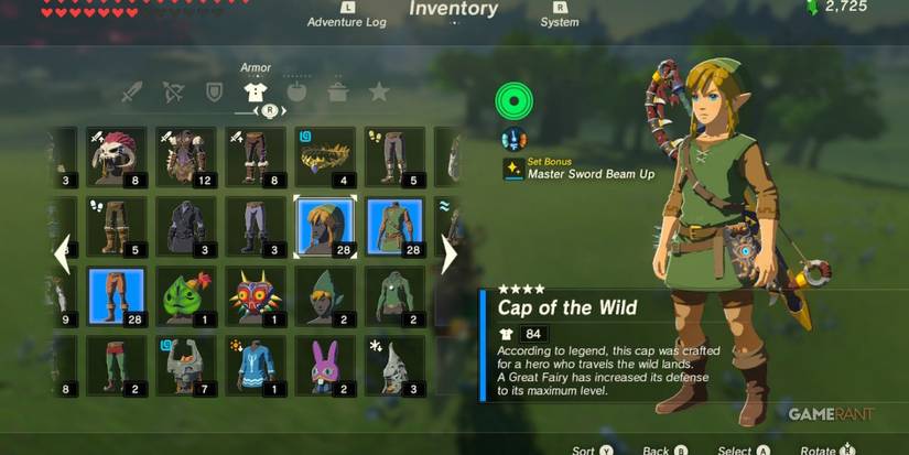 loz botw cap of the wild