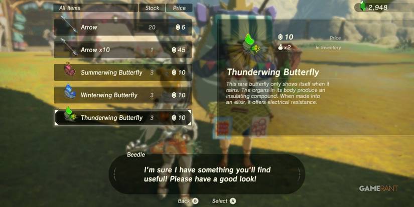 loz botw thunderwing butterfly beedle