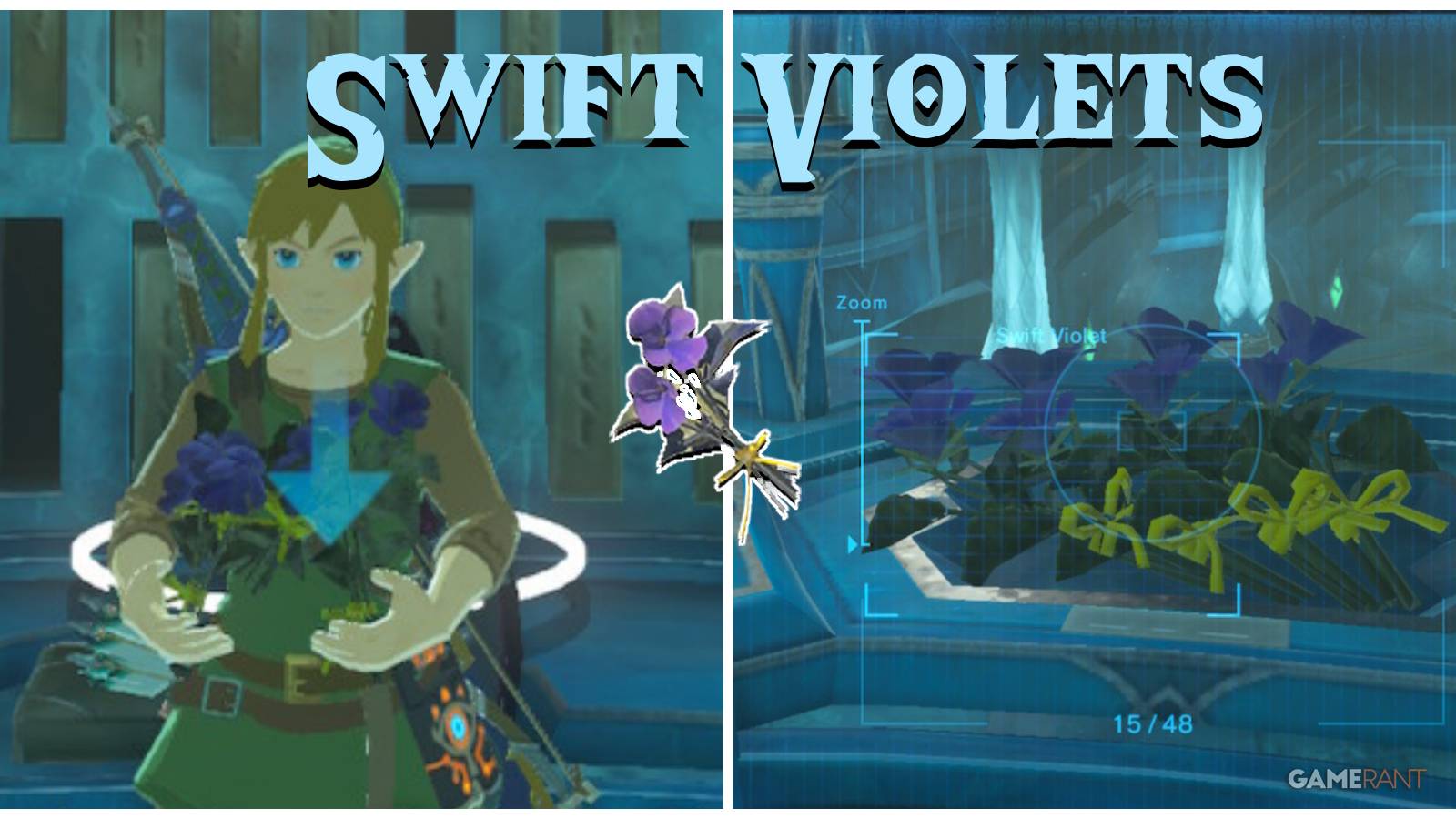 legend of zelda breath of the wild swift violets feature