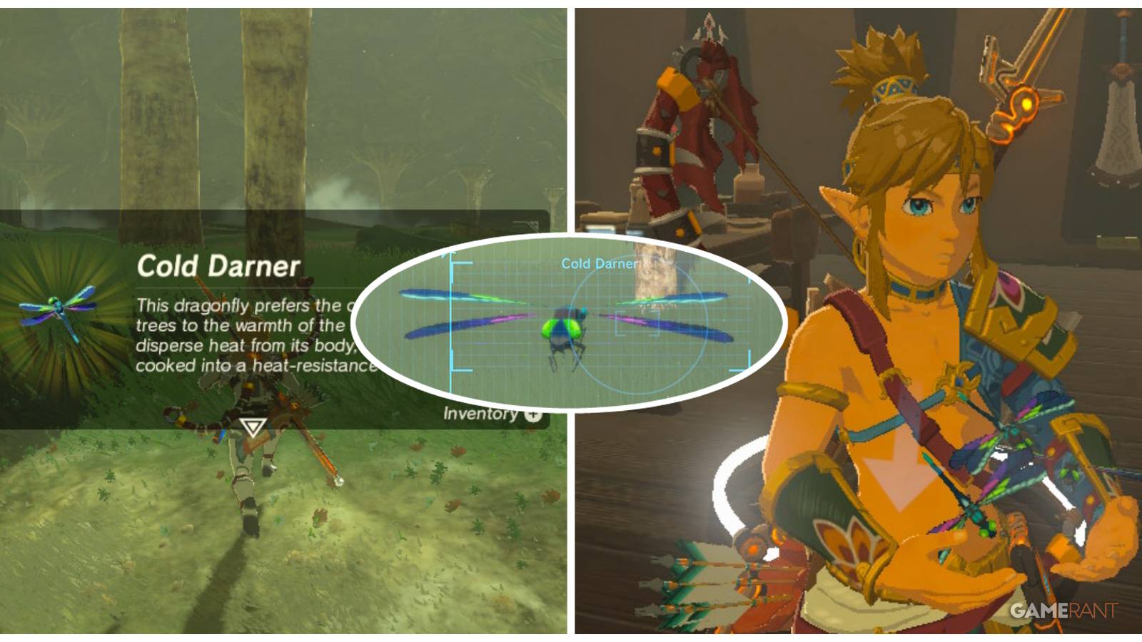 loz botw cold darner feature