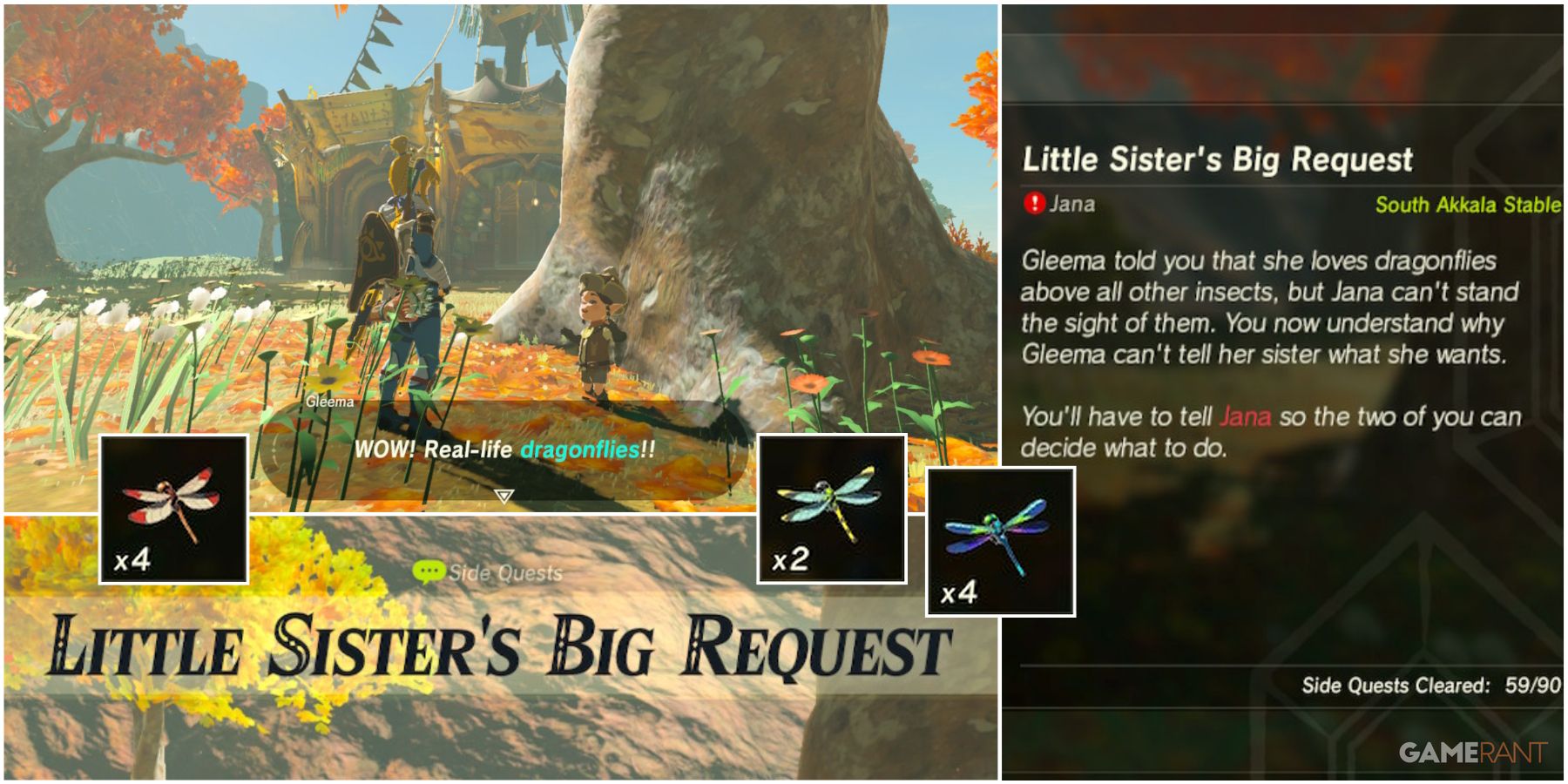 loz botw little sister's big request feature