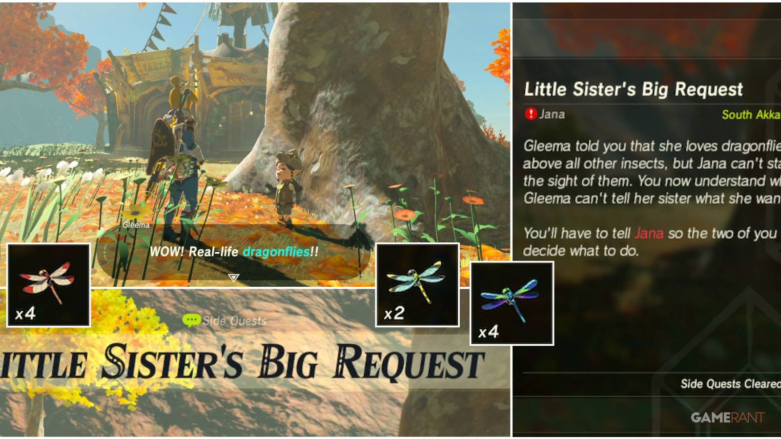 loz botw little sister's big request feature