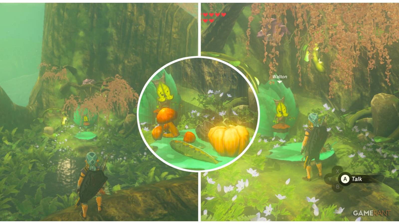 loz botw riddles of hyrule feature