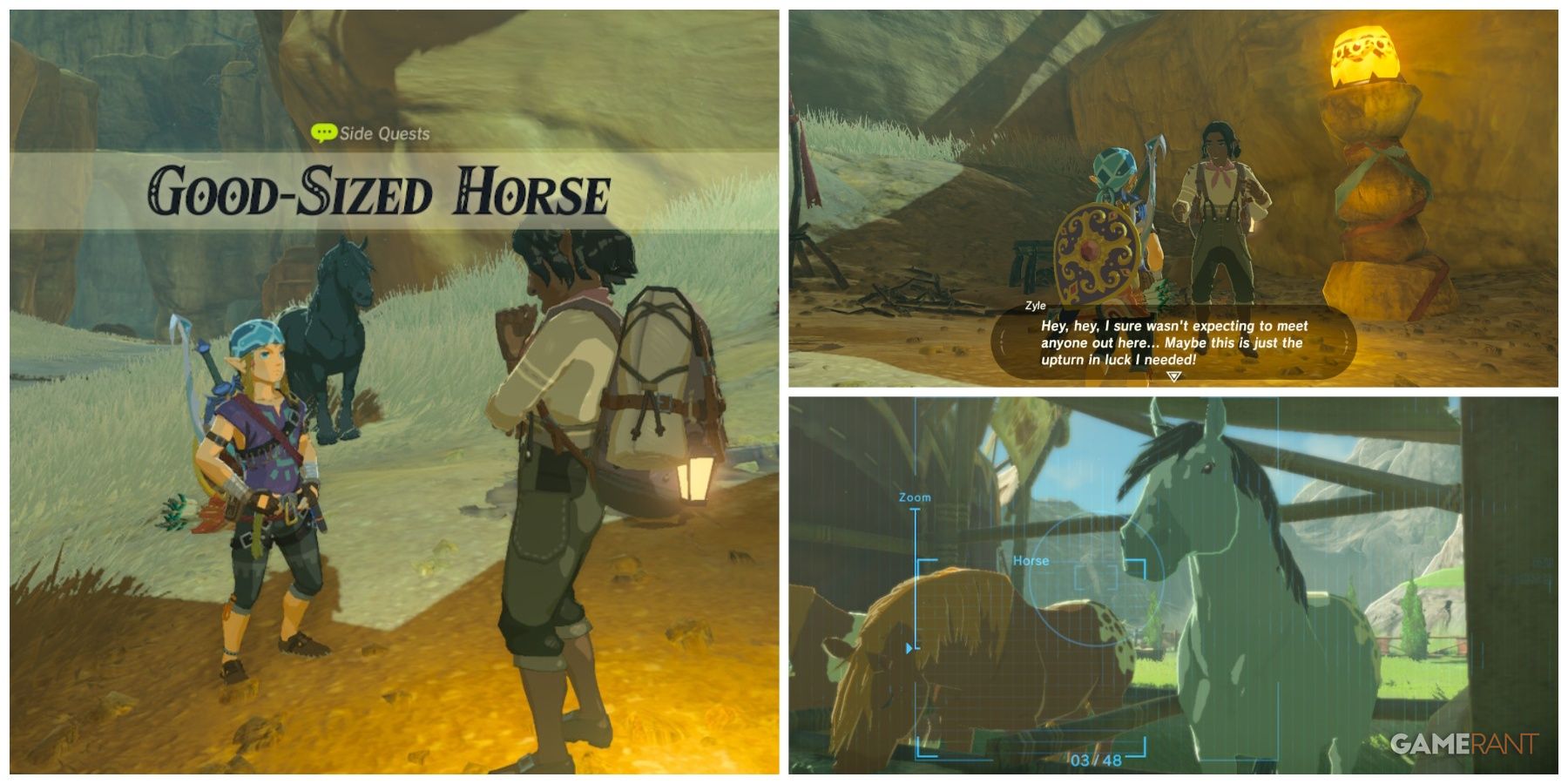loz botw good-sized horse side quest