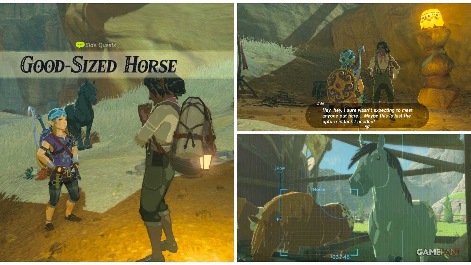 loz botw good-sized horse side quest