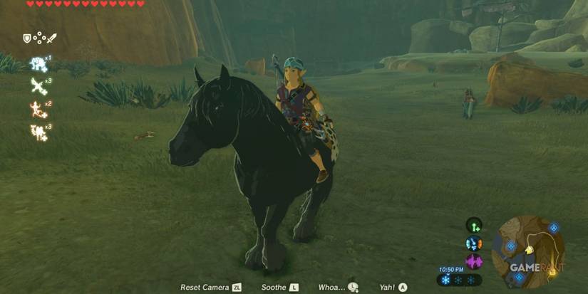 loz botw wild horse