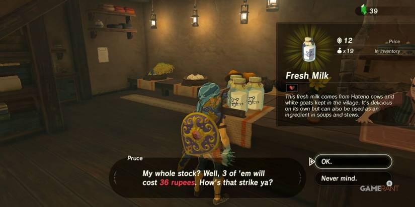 loz botw hateno village general store