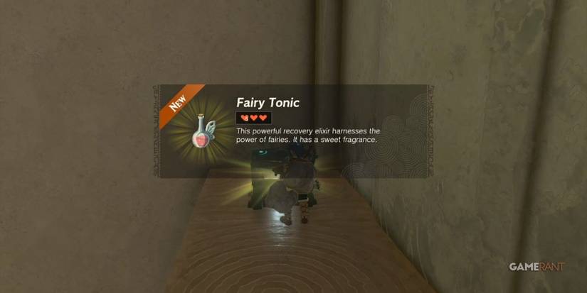 legend of zelda tears of the kingdom fairy