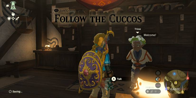 follow the cuccos totk loz