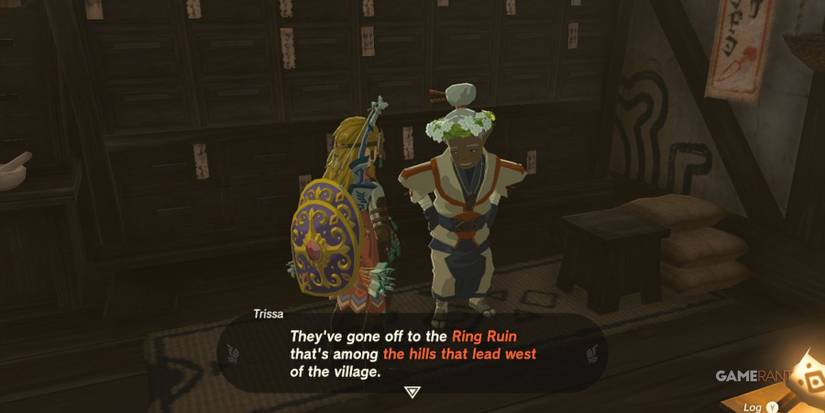 legend of zelda: tears of the kingdom codgers' quarrel start