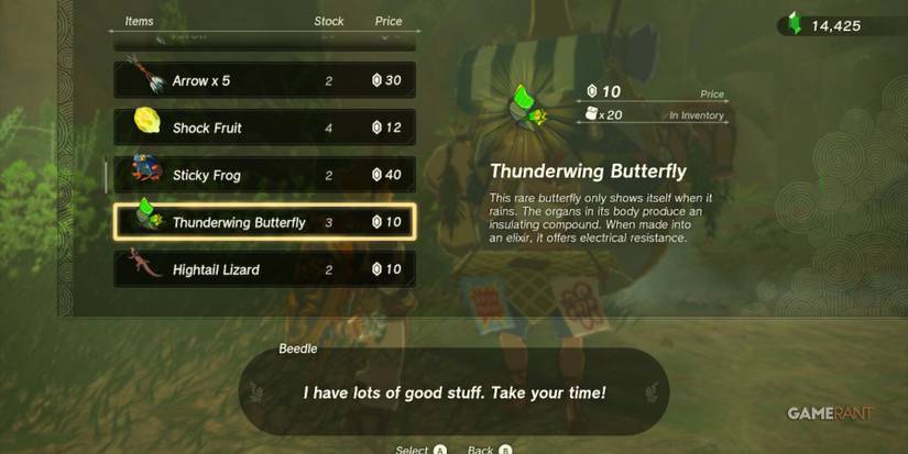 loz totk thunderwing butterfly beedle